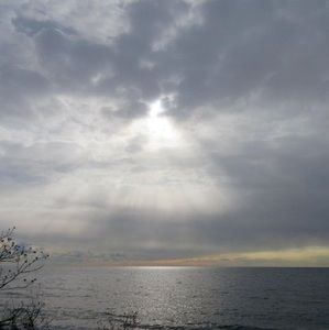 Meet your Posher, Arum